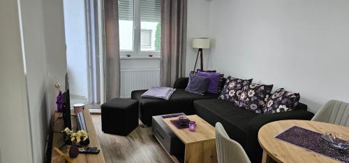 Apartman Dunja Banja Koviljaca stan na dan u ulici Narodnog fronta kod banjskog parka sa odvojenom spavacom sobom terasa parking