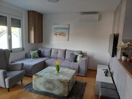 Svetao i moderno uređen enterijer apartmana ARISTEA u Aranđelovcu sa udobnim francuskim ležajem i funkcionalnom kuhinjom.