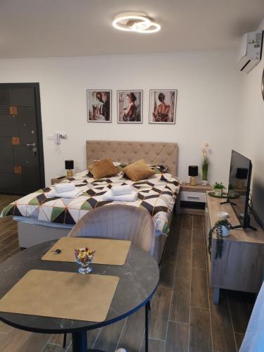Moderan jednosoban LILLY apartman Vrnjacka Banja sa balkonom i pogledom na planinu u strogom centru blizu Mosta ljubavi