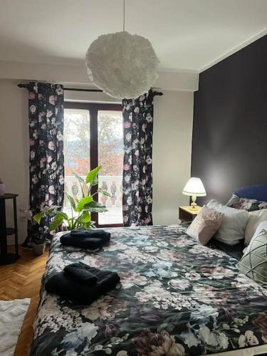 Jordan Apartman Niska Banja stan na dan smestaj u centru sa velikom terasom parkingom