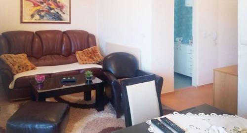 Apartman Pazova Sokobanja stan na dan smestaj u ulici Milutina Pejovica privatni apartmani sa terasom dvoristem parkingom