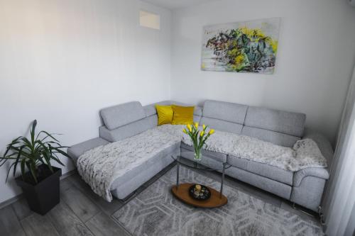 Apartman ISKRA Arandjelovac stan na dan smestaj u Ljubickoj ulici blizu akva parka Izvor sa balkonom liftom parkingom