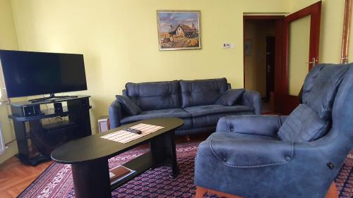 Apartment Roxana Vrdnik stan na dan smestaj u ulici Milice Stojadinovic Srpkinje na Fruskoj gori sa balkonom i parkingom